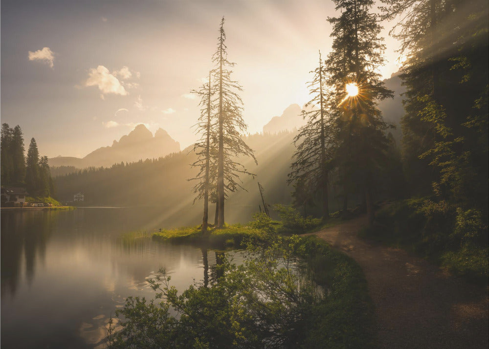 Morgonljus | Fototapet