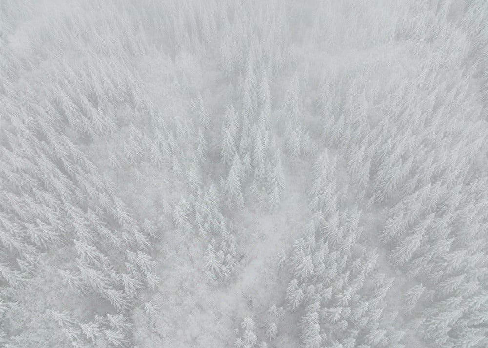 Blanco corrector Papel Pintado Fotográfico