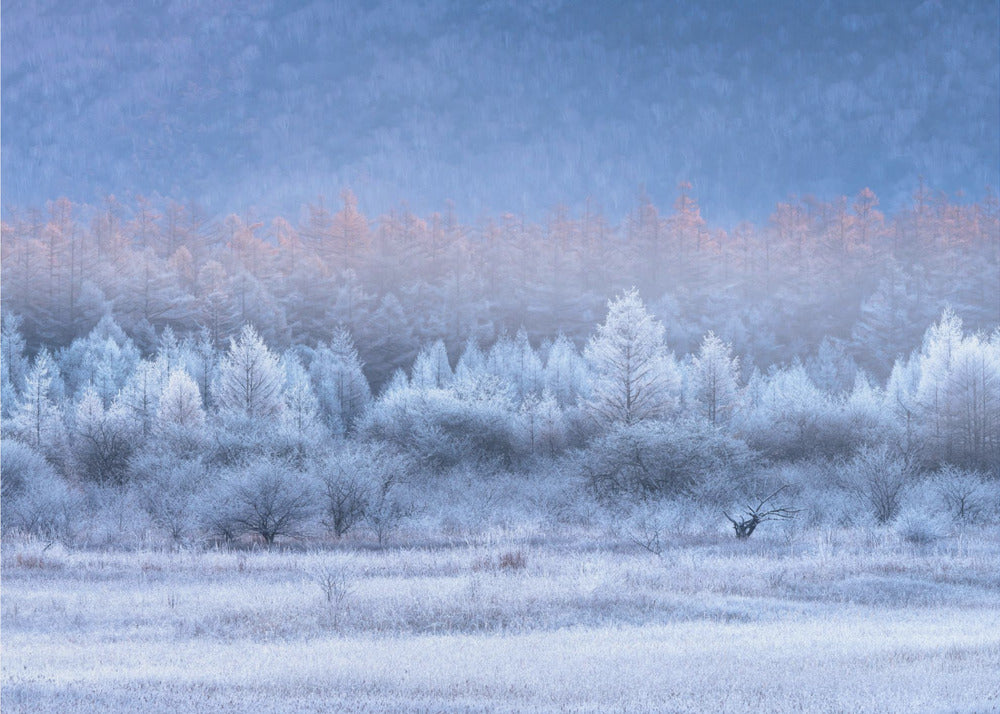Herbst- und Winterfarbverläufe | Fototapeten