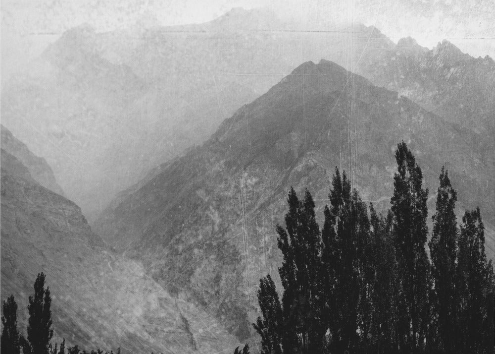 Alberi in montagna | Stampe su Tela