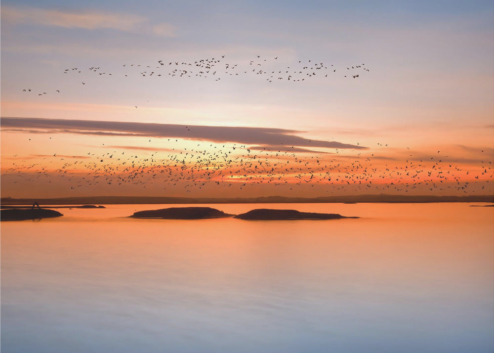 al atardecer | Papel Pintado Fotográfico