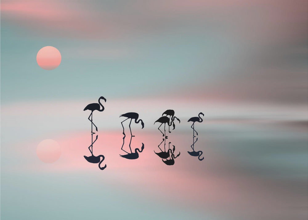 Familjen flamingos. | Poster
