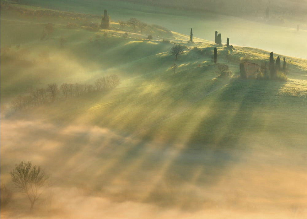 Nebbia... | Carta da Parati Fotografica