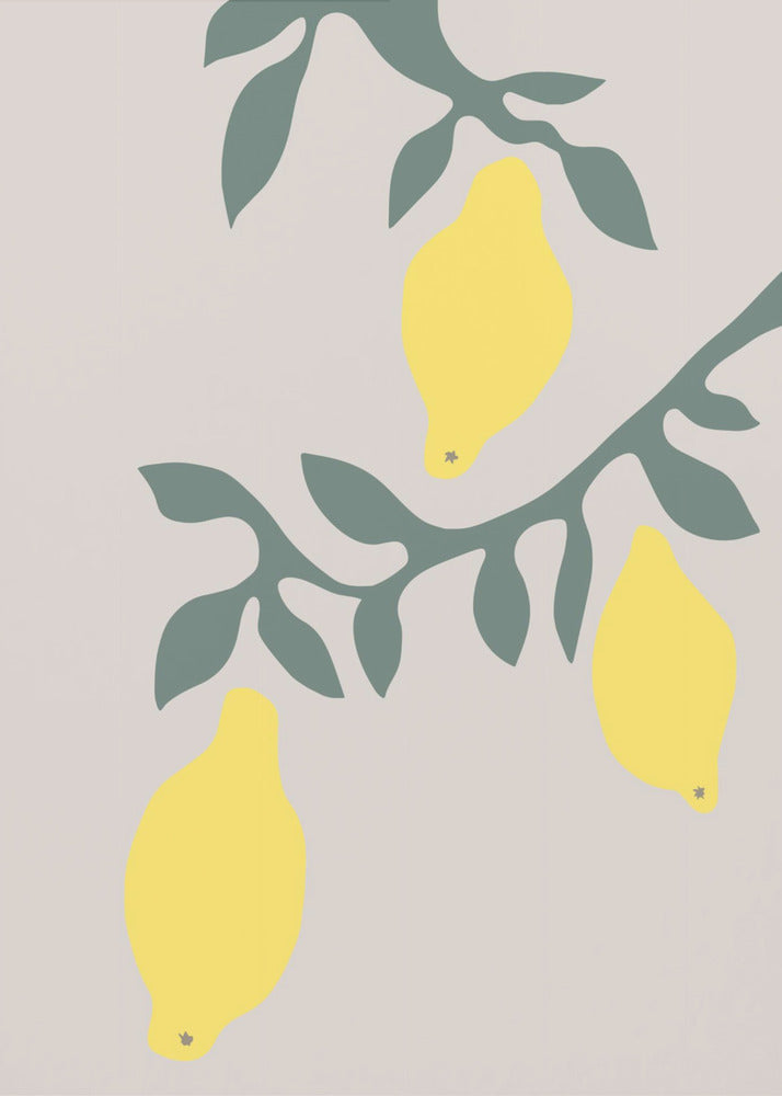 Citroner | Poster