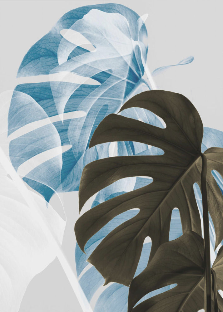Monstera Creativo 02 | Stampe su Tela