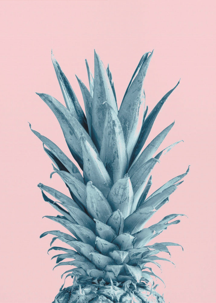 Piña Rosa 06 | Posters - Impresiones de Arte
