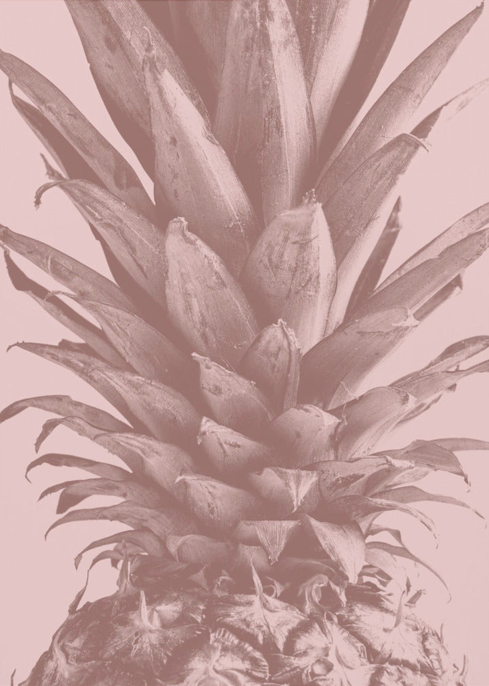Pineapple Close Up 01 | Poster