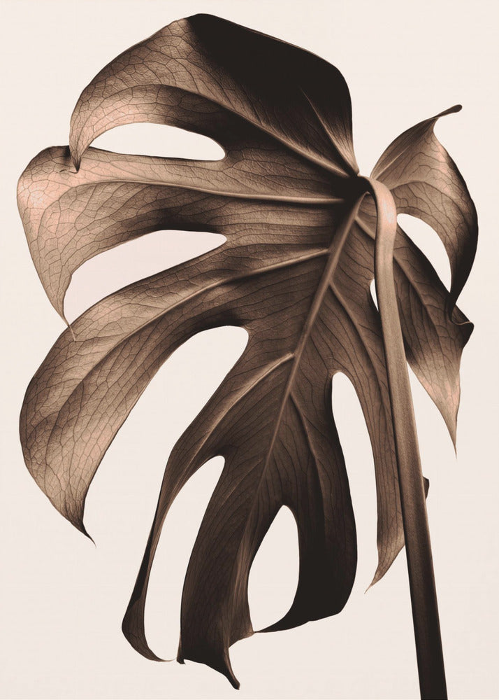 Monstera Or | Tableaux sur Toile