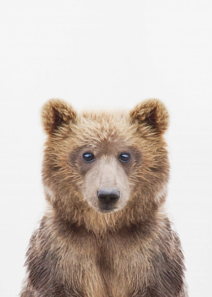 Bébé ours | Posters - Affiche Artistique