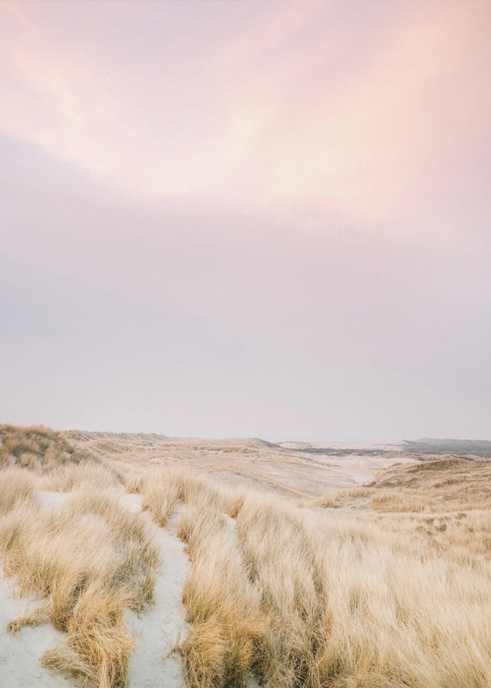 Ameland Dunes 1 | Canvasprints