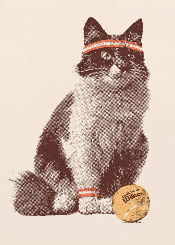 Tenniskat | Lærredsbilleder