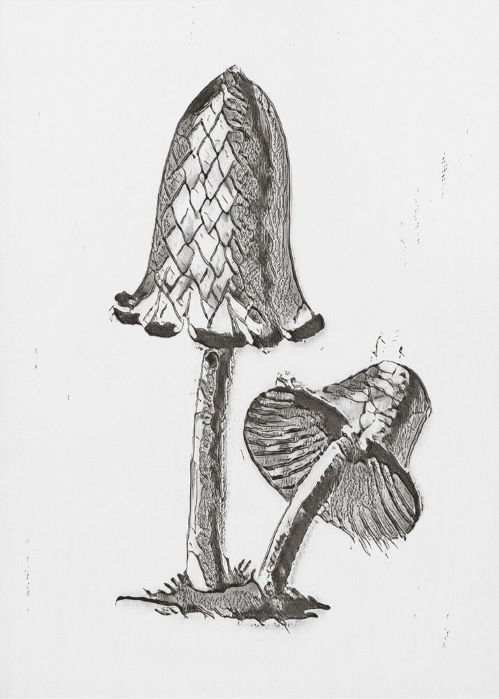 Vintage Inky Hat Spiselig Svampe BW Lys | Lærredsbilleder