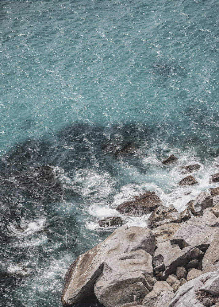 Aqua Shores | Poster