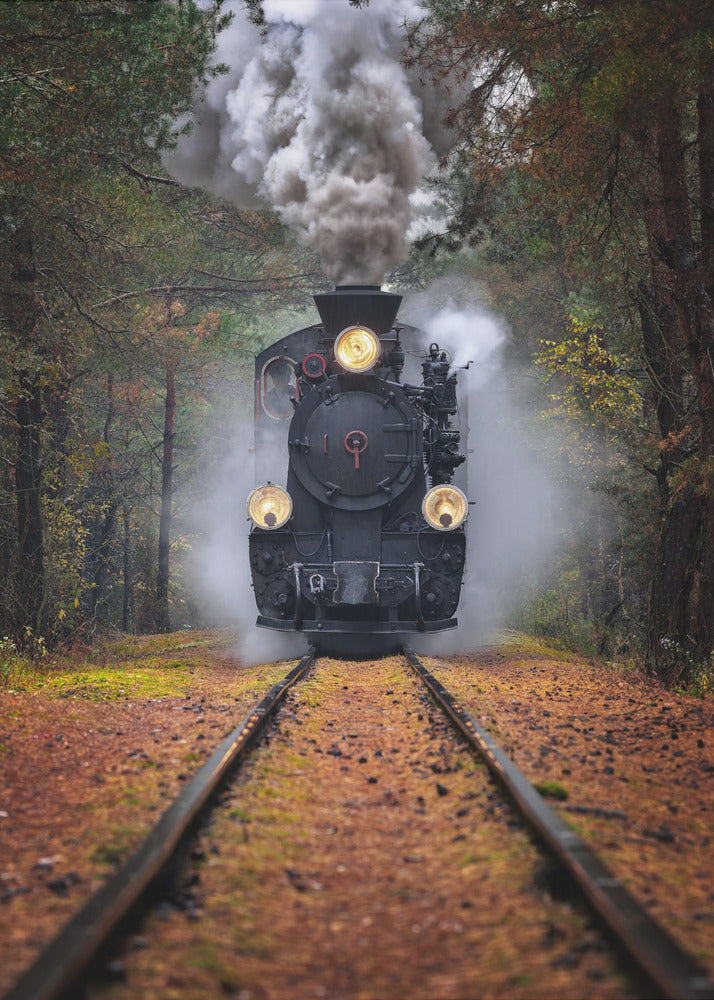 Door het herfstbos | Canvasprints