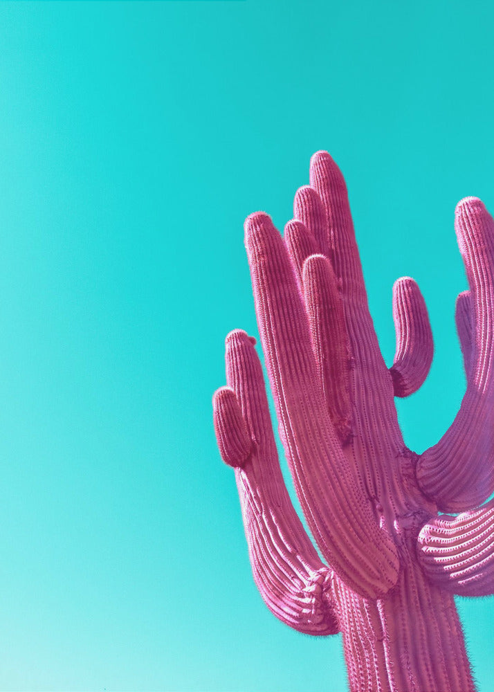 Saguaro rose magenta | Tableaux sur Toile
