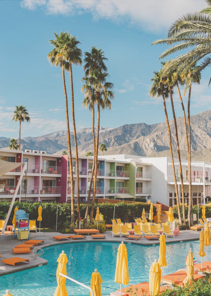 Saguaro in Palm Springs | Leinwand-Bilder
