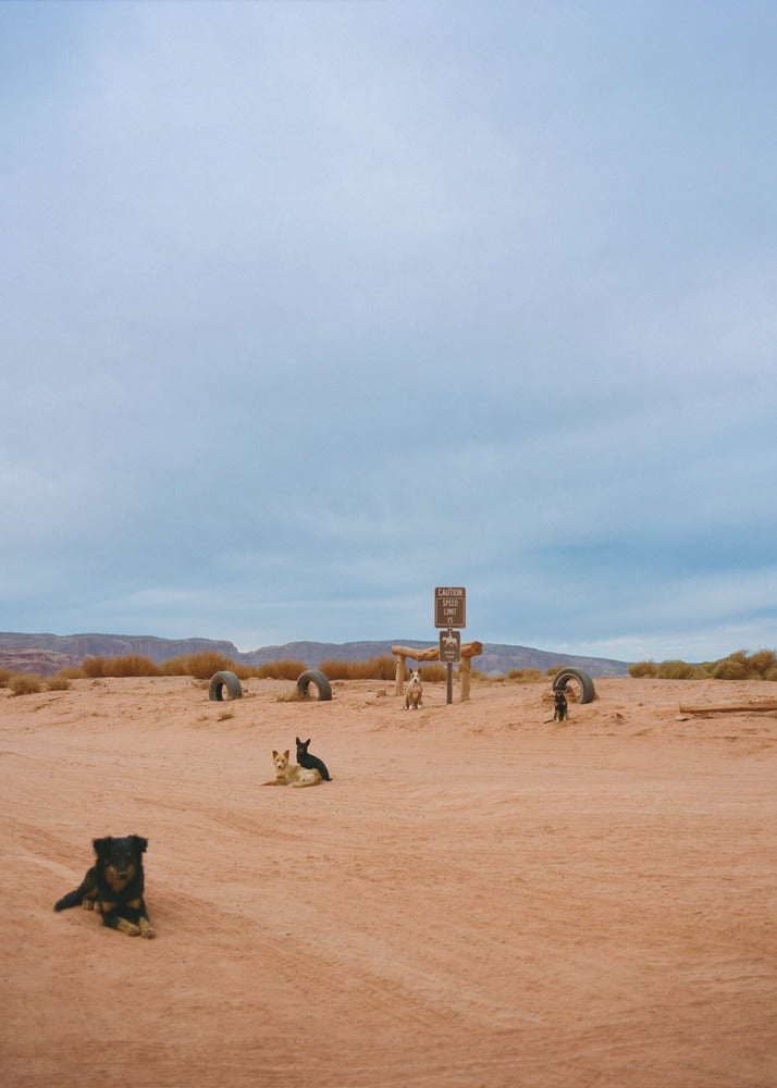 Monument Valley VIII | Leinwand-Bilder