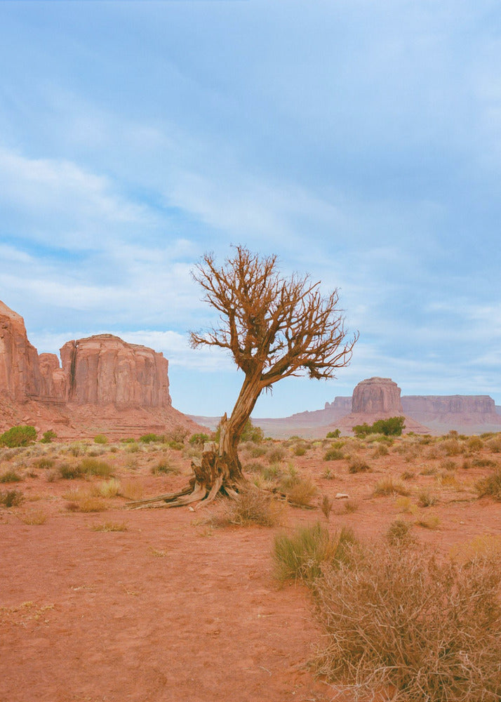 Monument Valley XI | Canvastaulut
