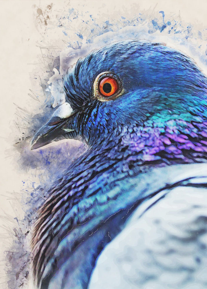 Animals Bird Dove Watercolor Animal Art | Poster