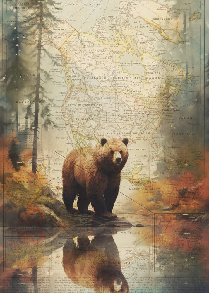 Grizzly 2 | Leinwand-Bilder