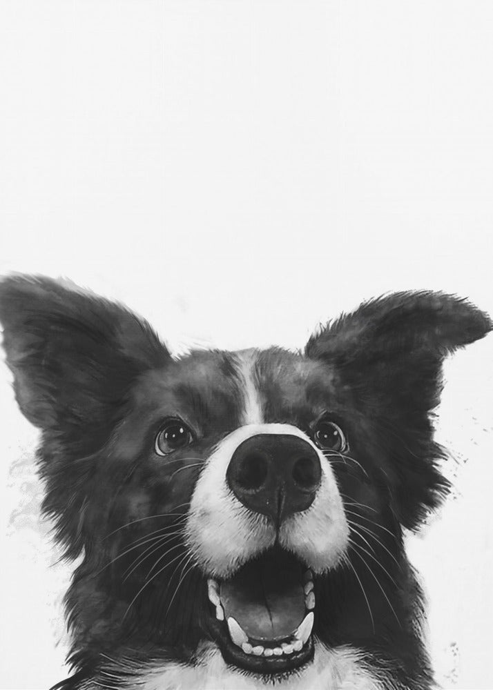Regard canin joyeux | Tableaux sur Toile