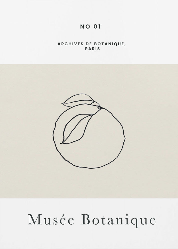 Abstractbotanicsno13 | Poster
