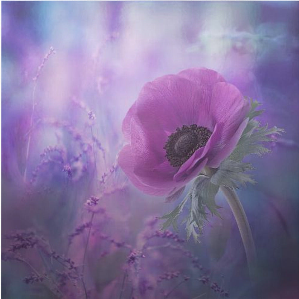 Extase | Tableaux sur Toile
