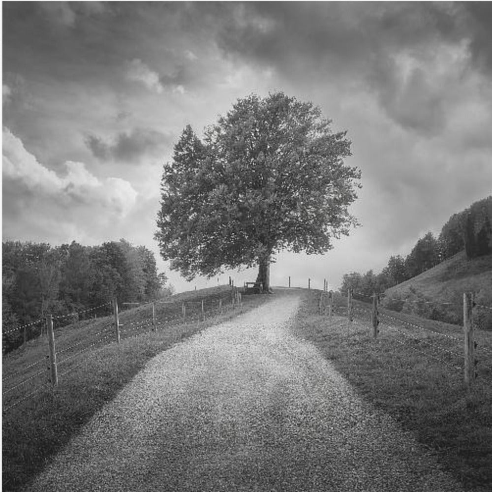 Sotto cieli neri | Stampe su Tela