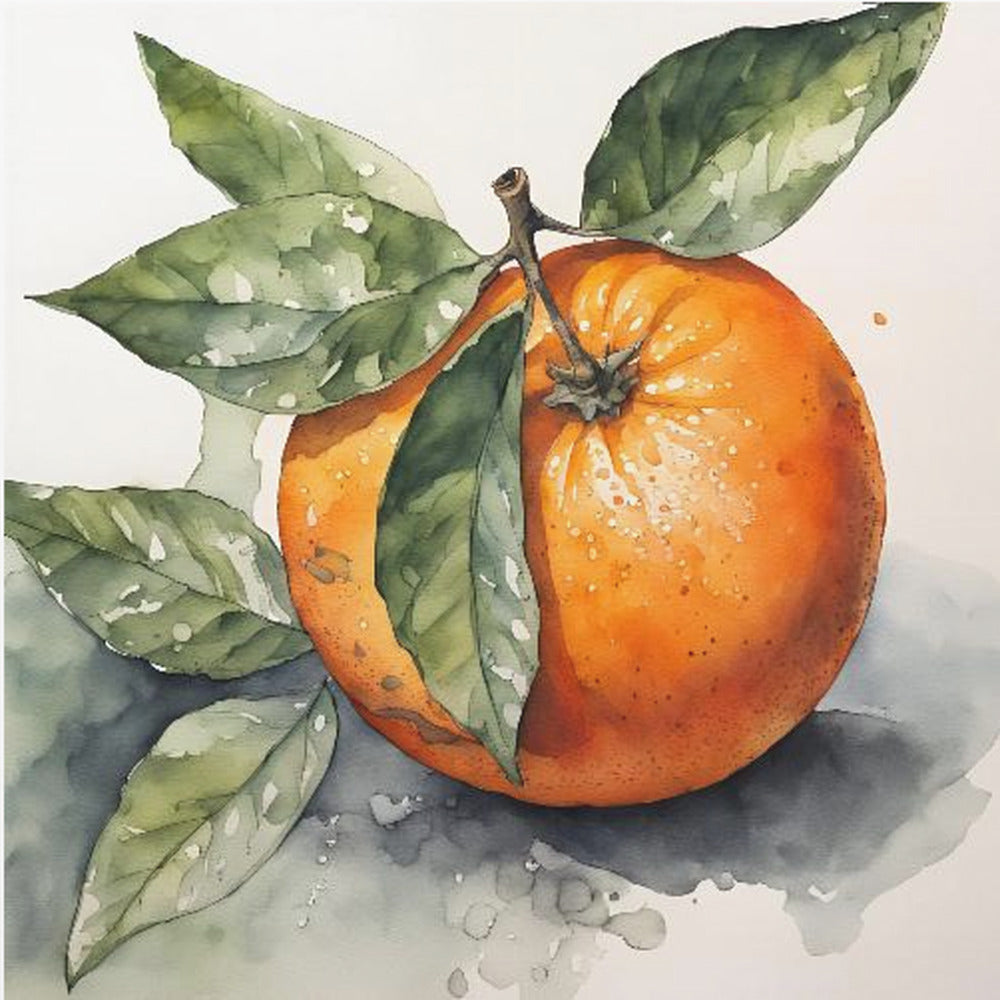 Orange, Akvarell, Bläck | Poster