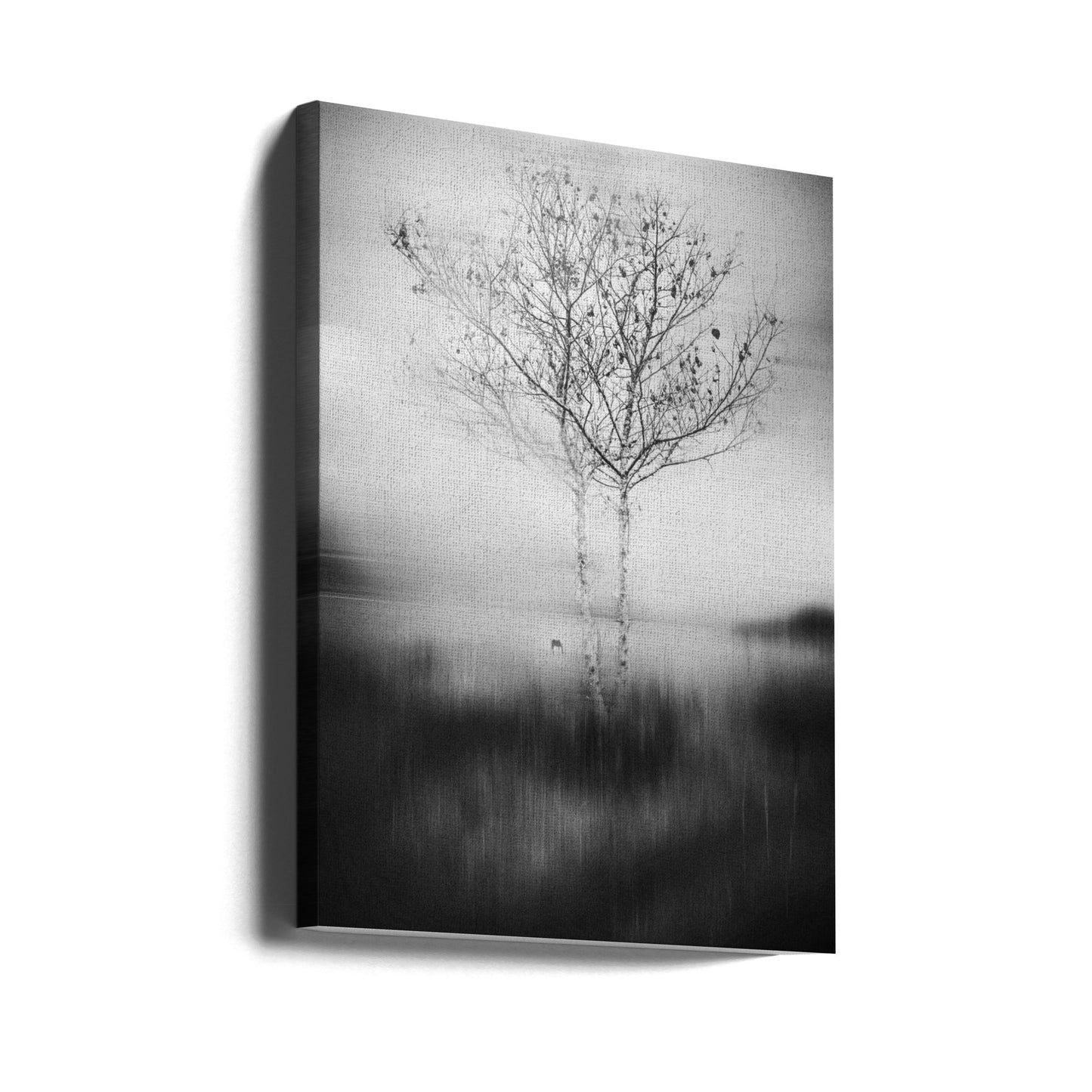 That Tree | Canvas