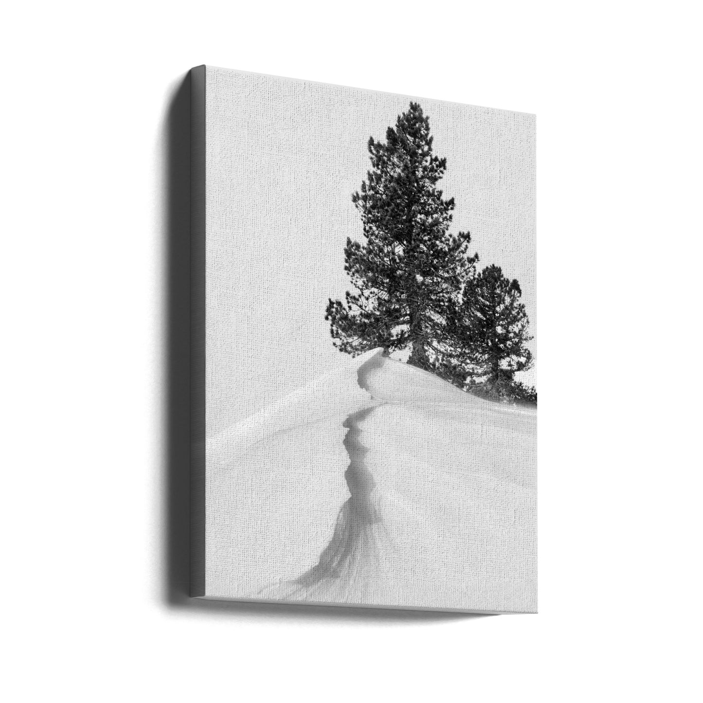 Om snön och formerna | Canvas