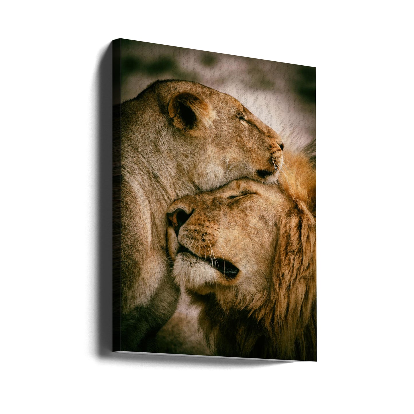 Vad är kärlek | Canvas