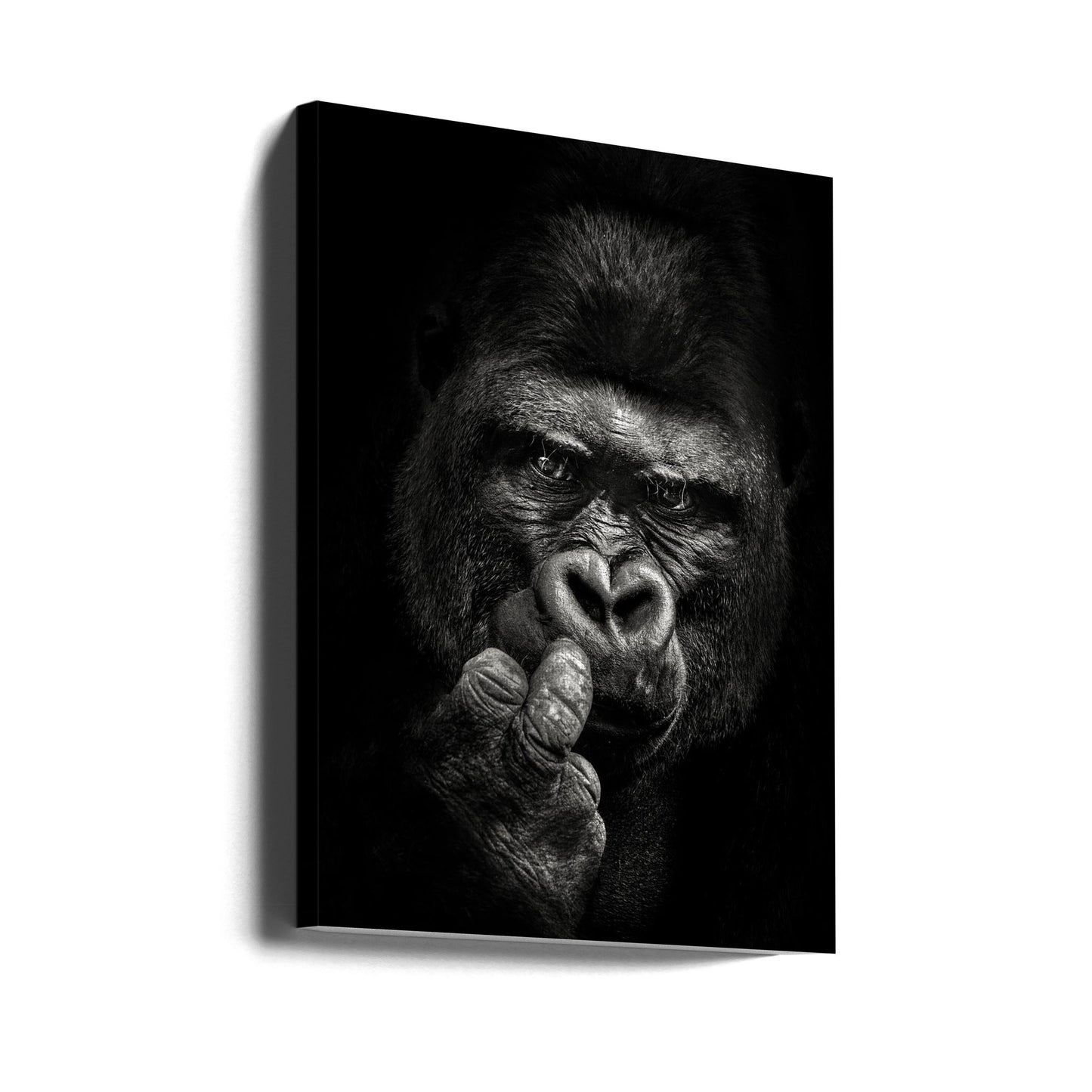 Attitude | Canvas
