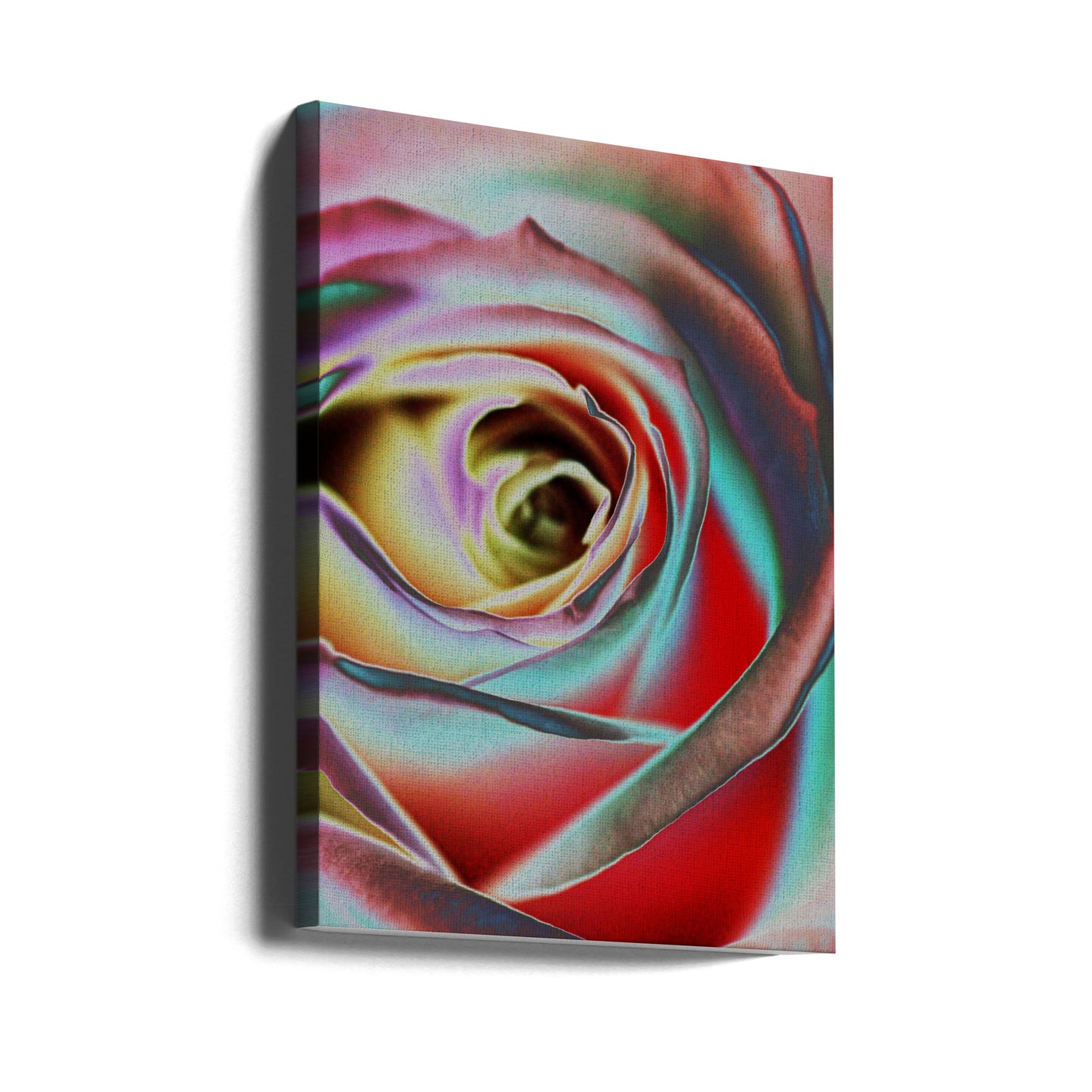 Rose | Lerretsbilder