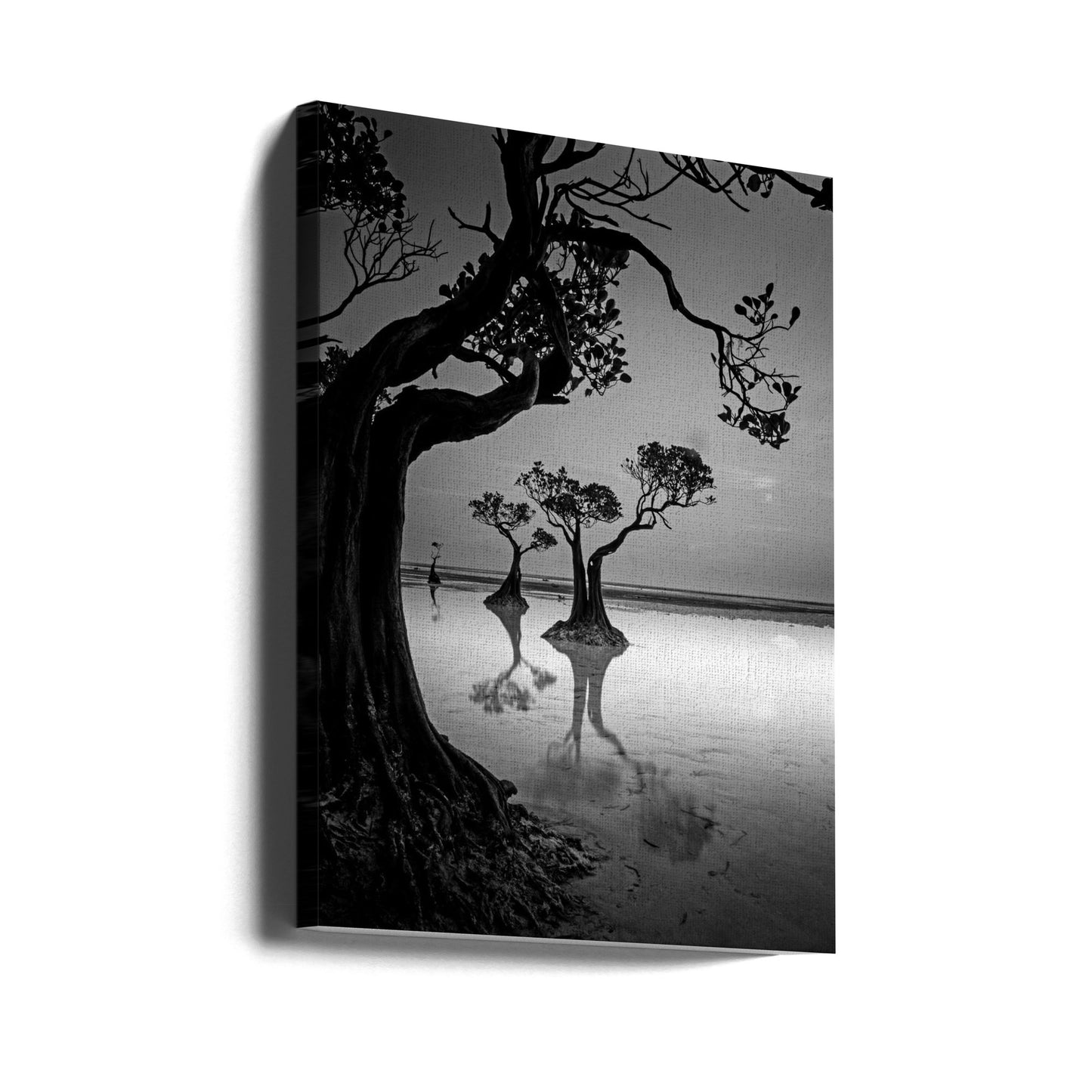 Inramning | Canvas