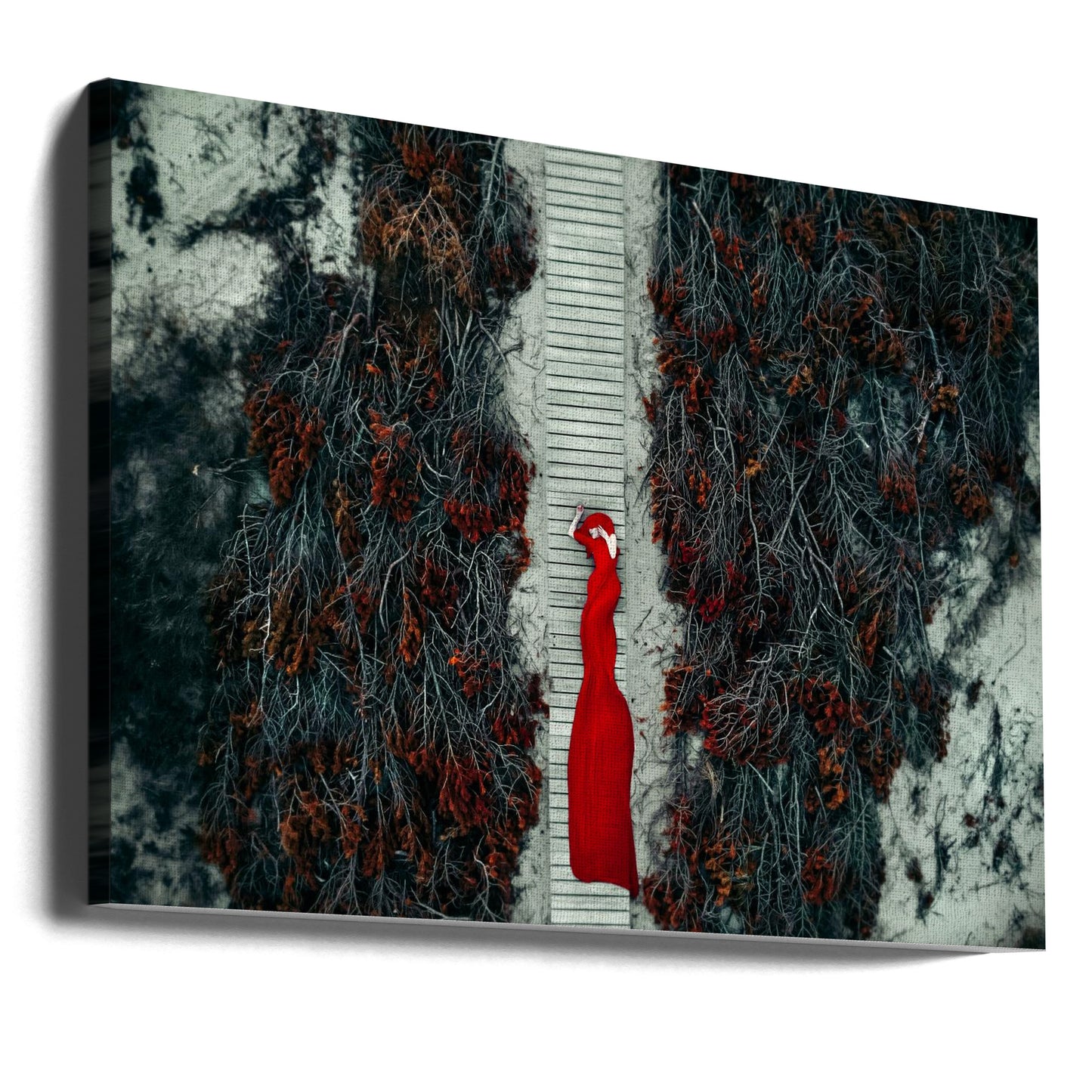 Sentier cramoisi | Tableaux sur Toile