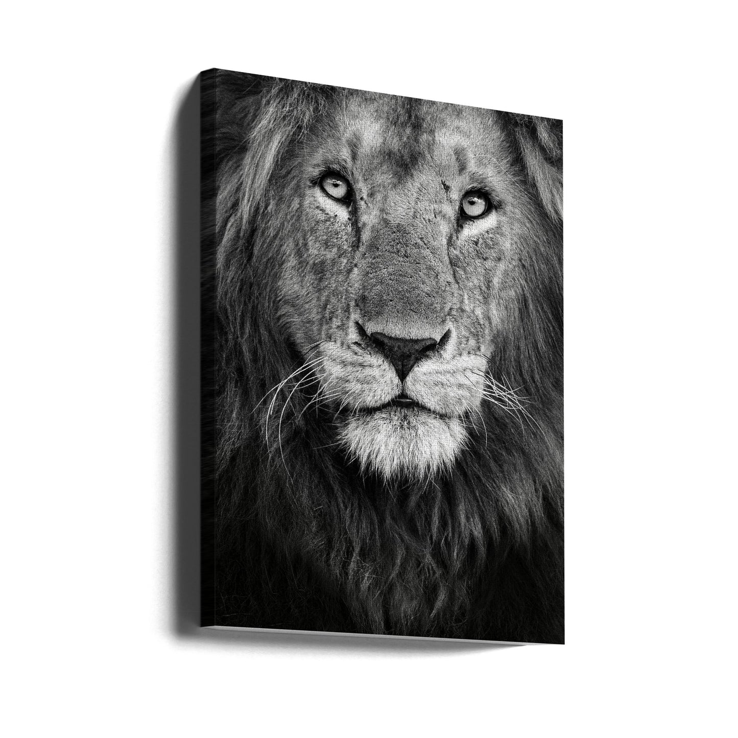 Kungligt porträtt | Canvas
