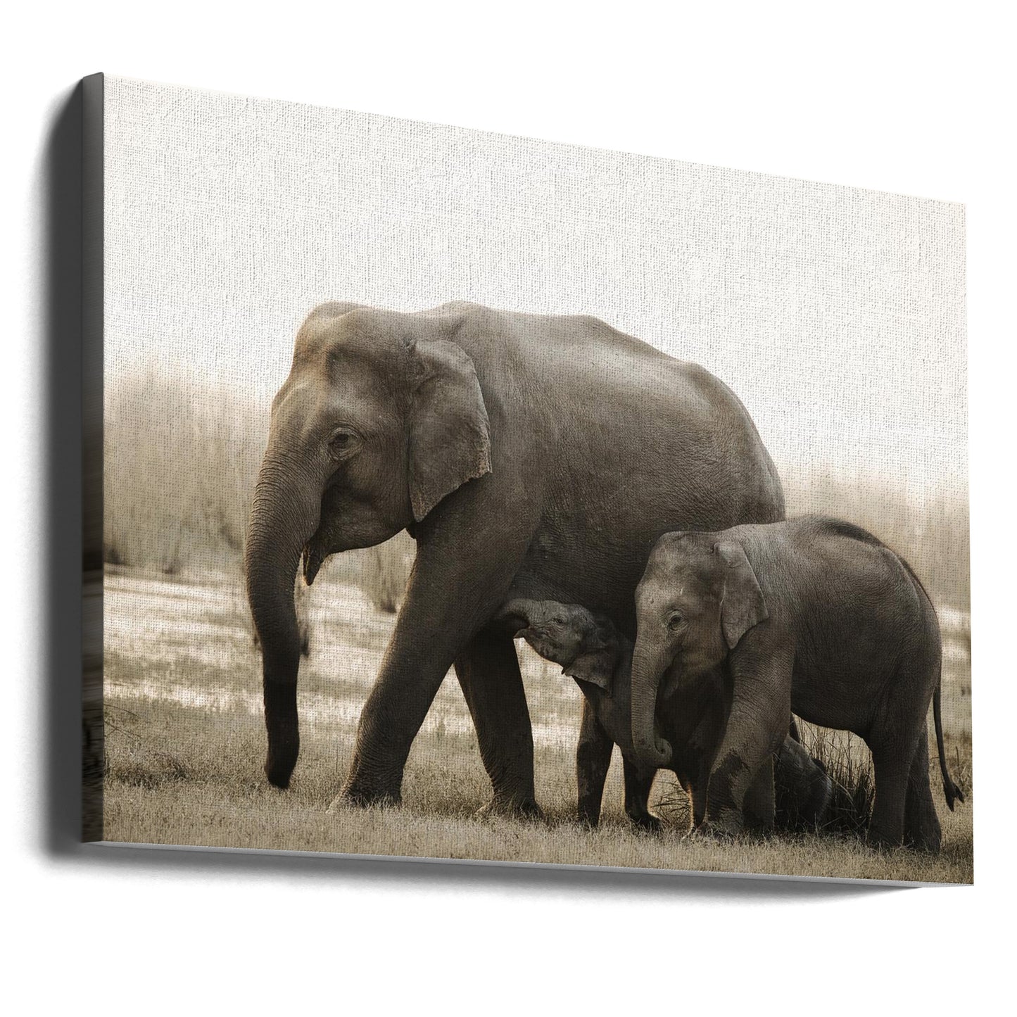 familieportret | Canvasprints