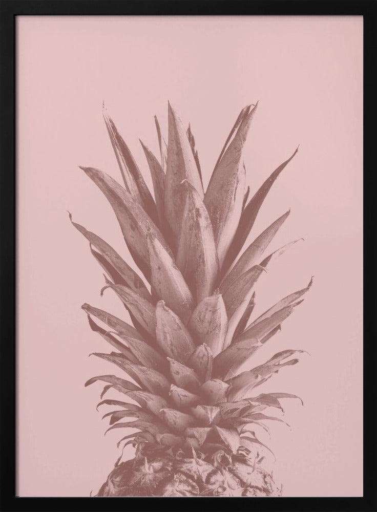 Piña Rosa 05 | Posters  - Impresiones de Arte