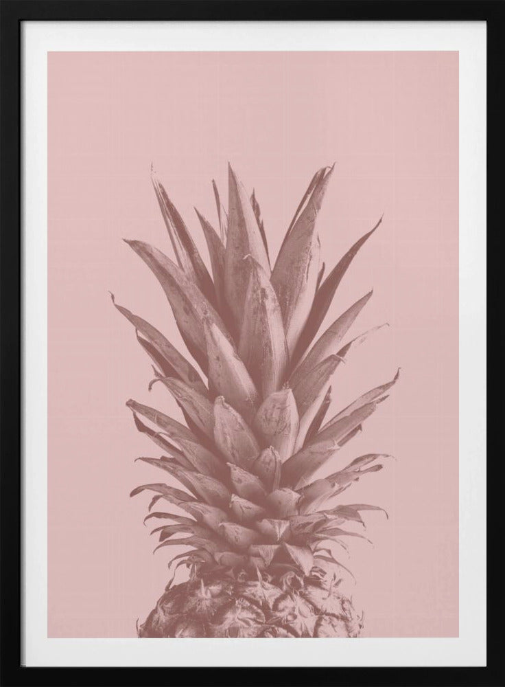 Piña Rosa 05 | Posters  - Impresiones de Arte