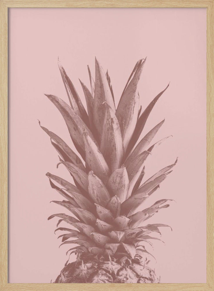 Piña Rosa 05 | Posters  - Impresiones de Arte