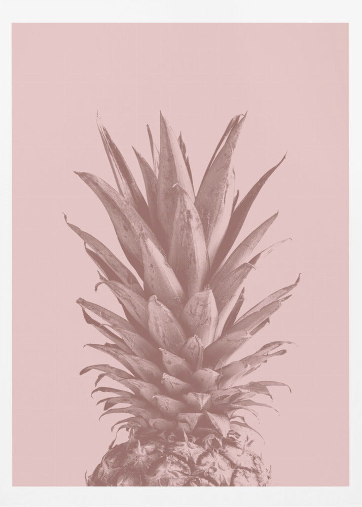 Piña Rosa 05 | Posters  - Impresiones de Arte