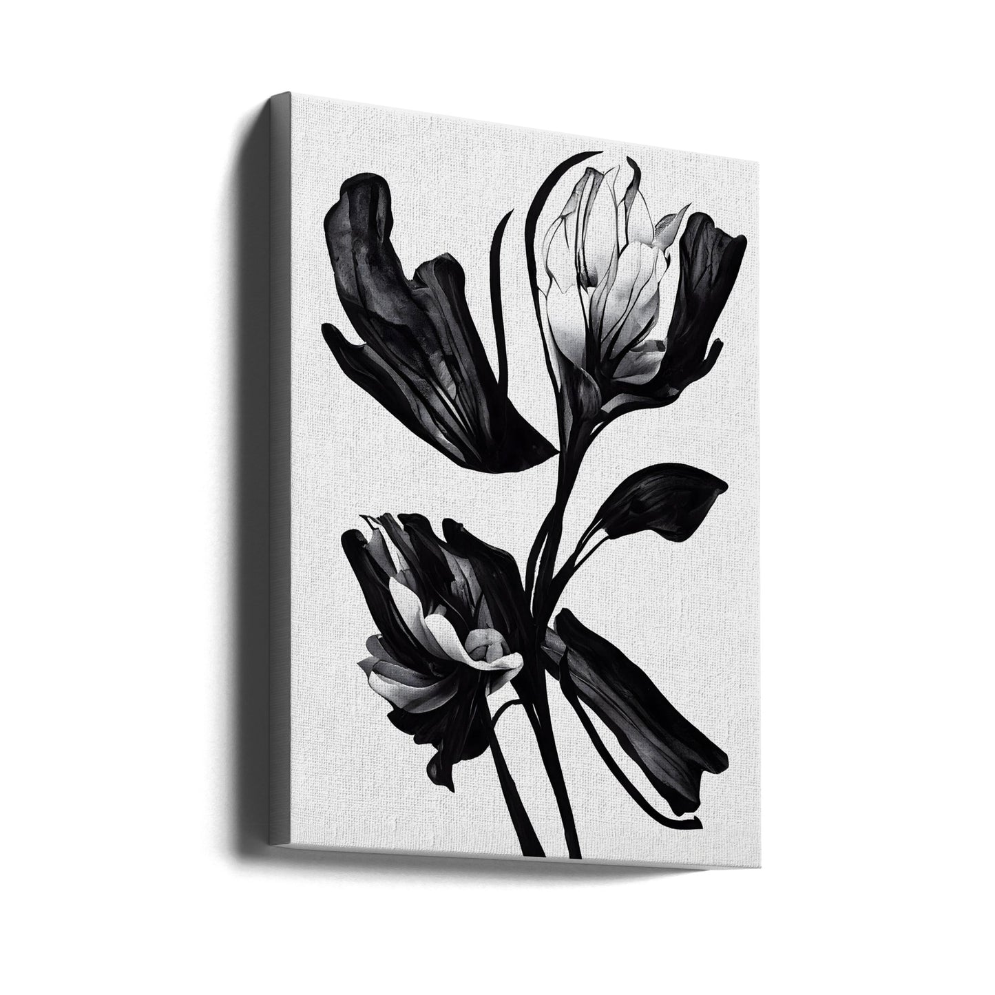 Fiore nero | Stampe su Tela