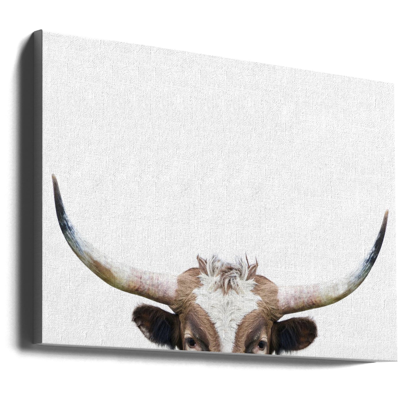 Vache à longues cornes qui regarde | Tableaux sur Toile
