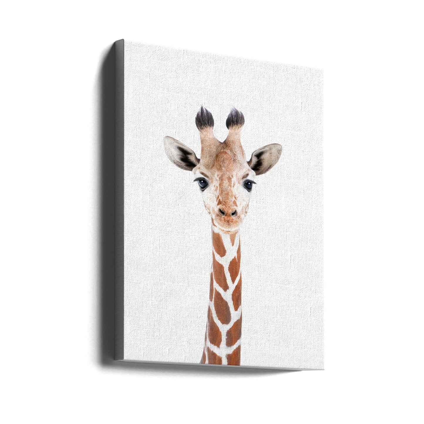 Baby Giraffe | Canvas