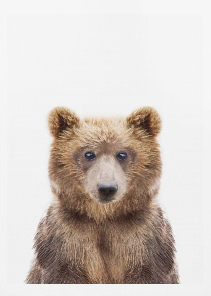 Babybjørn | Plakater - Kunsttryk
