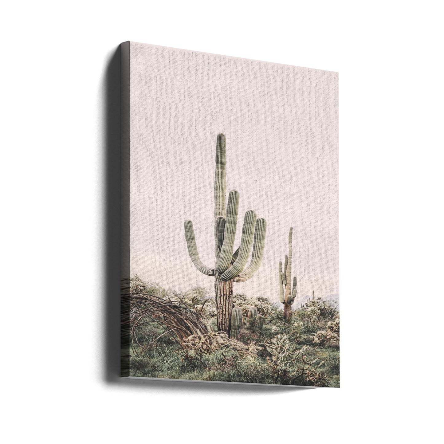 Roze Saguaro | Canvasprints