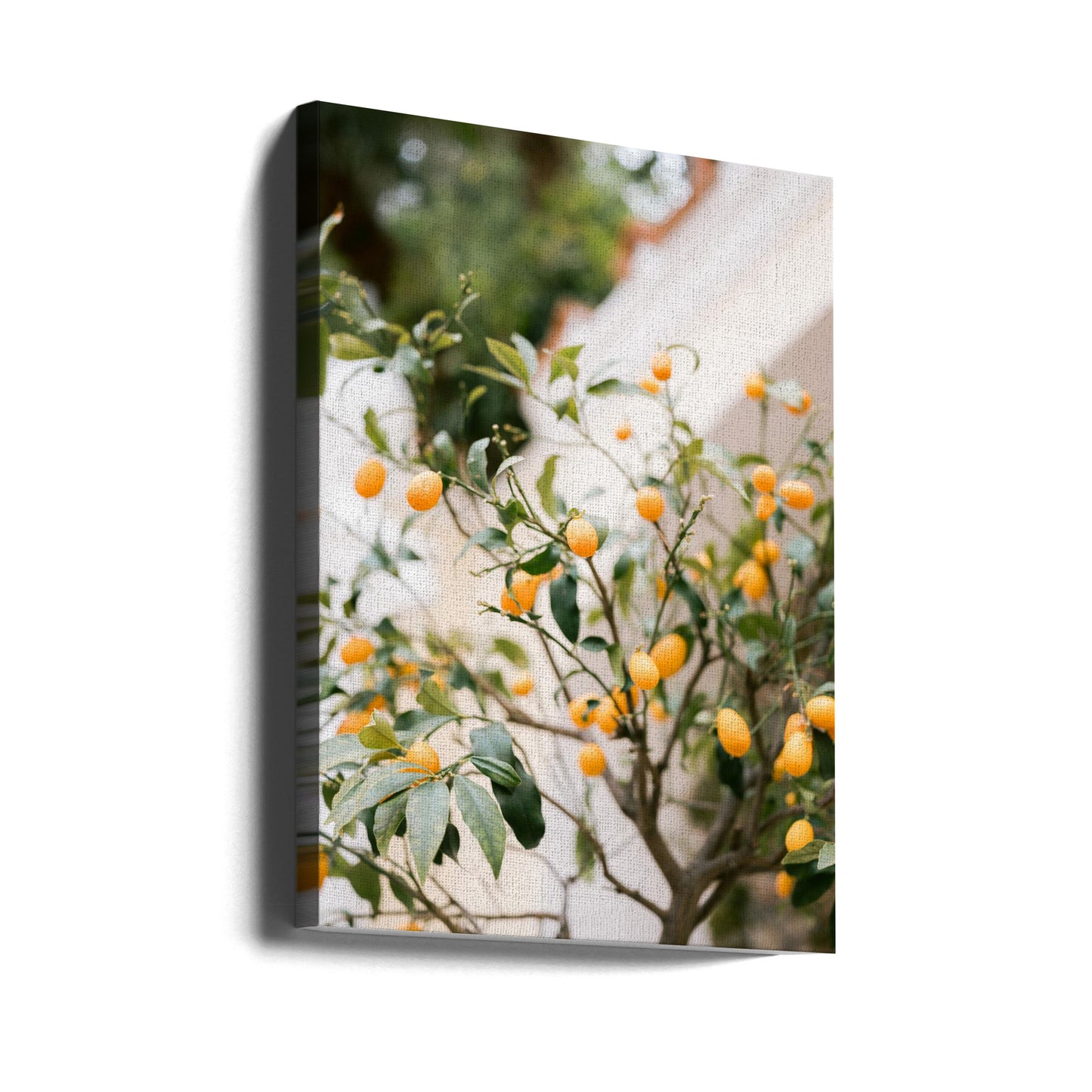 Orange Capri | Canvas