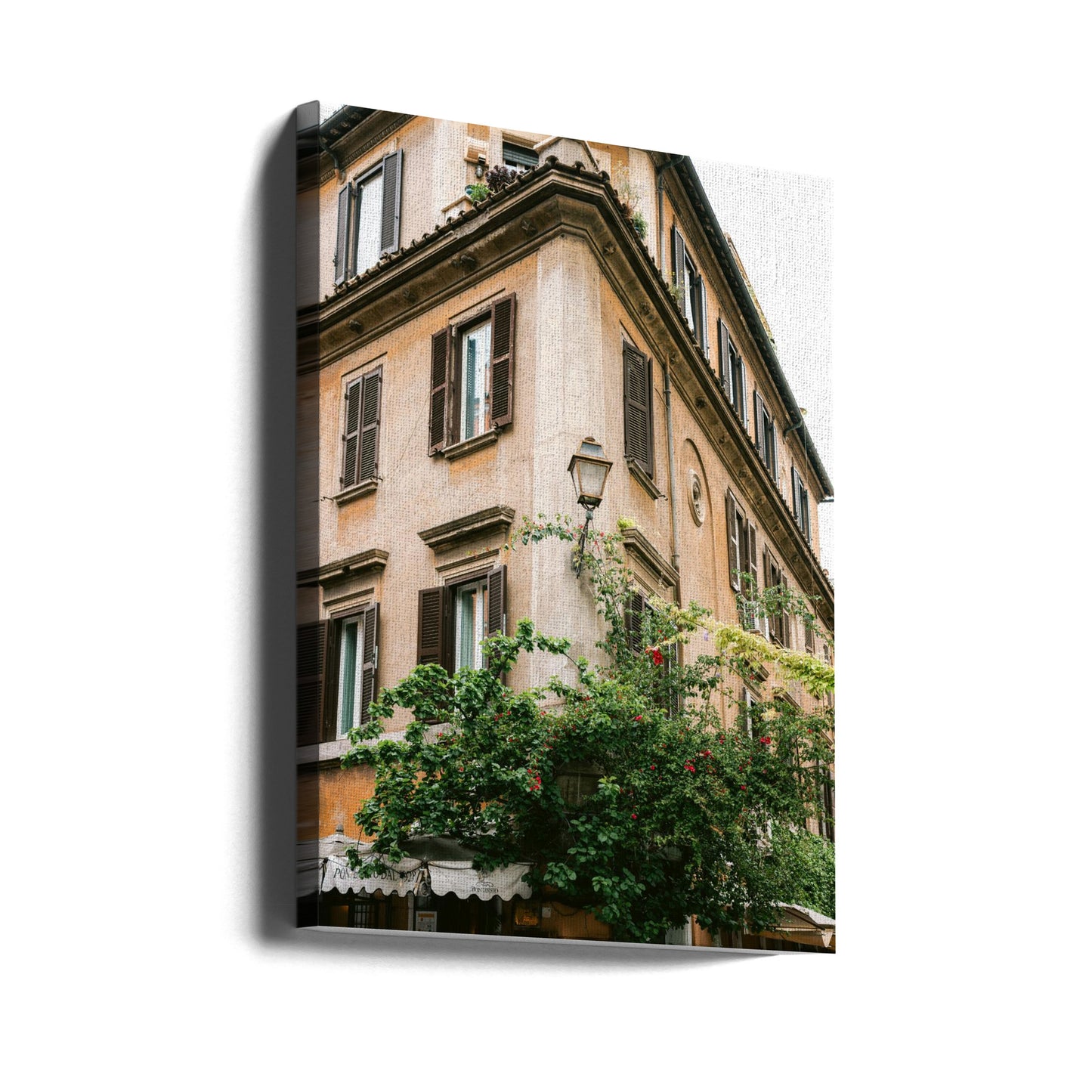 Botanical Trastevere Rome || | Canvas