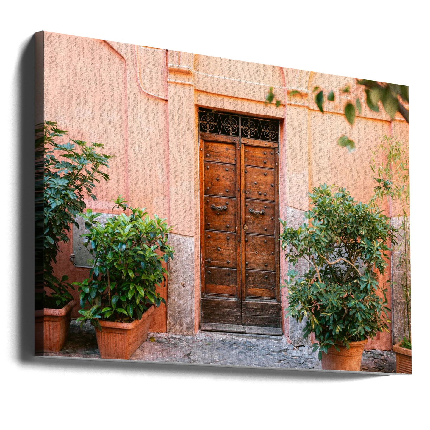 The Trastevere door | Canvas